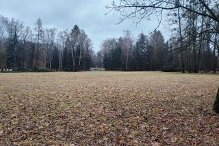 Festiwal Audioriver 2024. Co sądzą o nim łodzianie? Sprawdź, gdzie staną sceny [GALERIA]