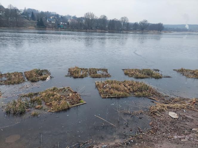 Przebudowa grobli na starachowickim Pasterniku