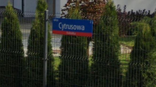 Oto "najsmaczniejsze" ulice w Warszawie