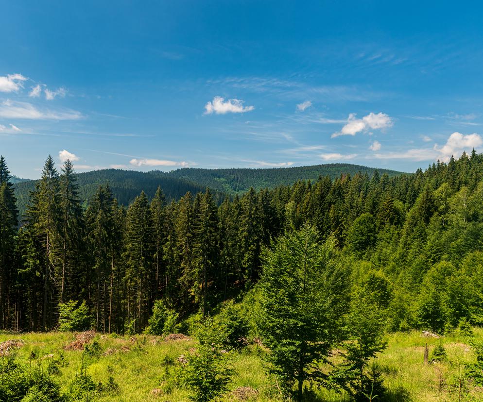 Beskid Mały z dzieckiem