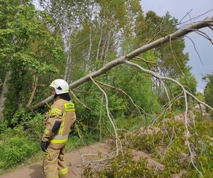 Burza na Podlasiu! Gdzie jest 10 czerwca? IMGW wydało alerty drugiego stopnia