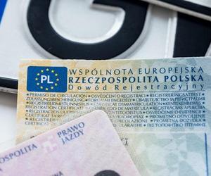 Masowa wymiana praw jazdy. Miliony Polaków pójdą do urzędów