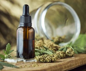 Marihuana lecznicza – właściwości, zastosowanie, efekty działania medycznej marihuany 