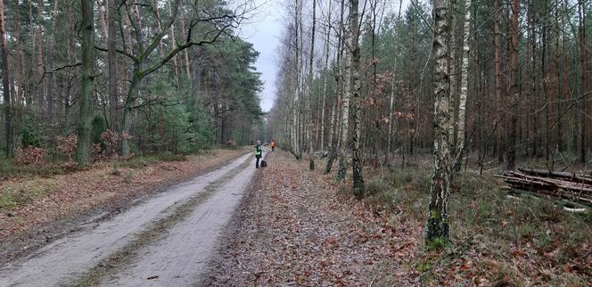 Łódzkie: ZARZĄDZANIE KRYZYSOWE W AKCJI. Około 80. osób przeszukiwało w weekend lasy