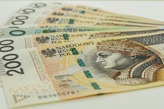 Nawet 16 tys. zł brutto za pracę na polu