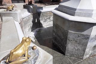 Fontanny w Toruniu 2020