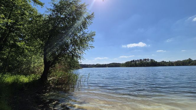 To jezioro w Olsztynie ma niezwykle czystą wodę. Jest kilka dzikich plaż, które świecą pustkami