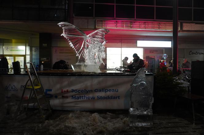 Finał Poznań Ice Festival 2023