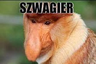 Memy na Dzień Szwagra 