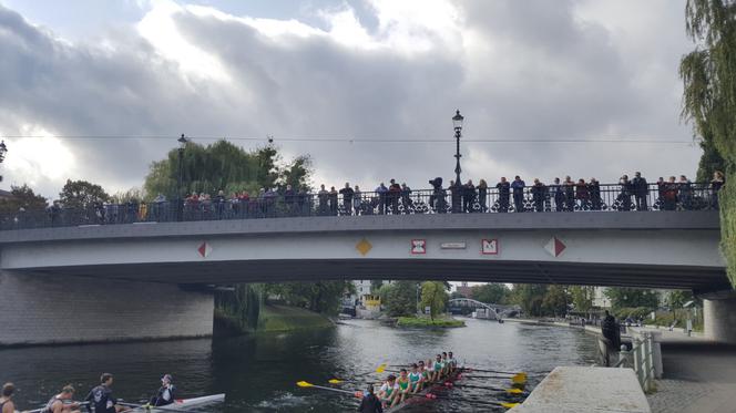 Wielka Wioślarska 2019 w Bydgoszczy 