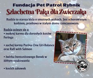 Pet Patrol Rybnik organizuje akcję Szlachetna Paka dla Zwierzaka 