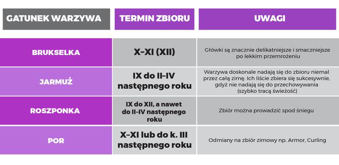 Jesienne zbiory warzyw tabela 4