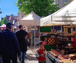 Piknik nad Odrą