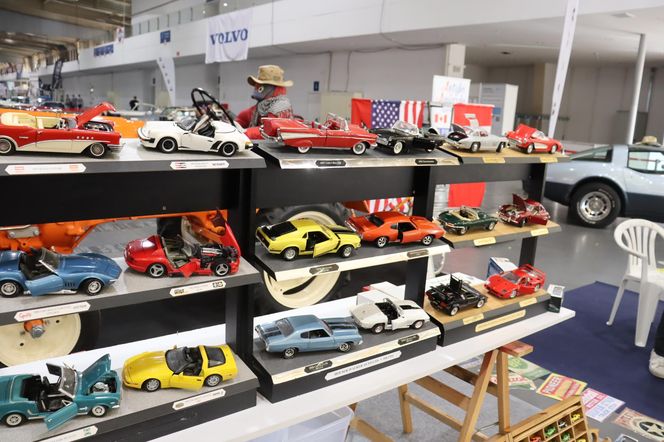 Retro Motor Show rozpoczęte! Wyjątkowe samochody na MTP!