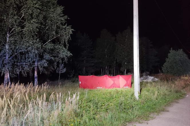 Śmierć na drodze! Po pijaku potrącił 50-latkę i uciekł