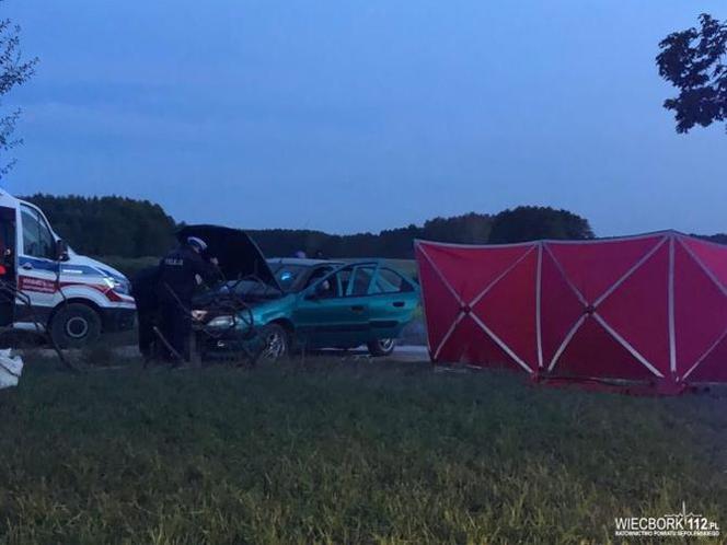 Tragiczny wypadek pod Sępólnem Krajeńskim! Nie żyje mężczyzna [ZDJĘCIA] 