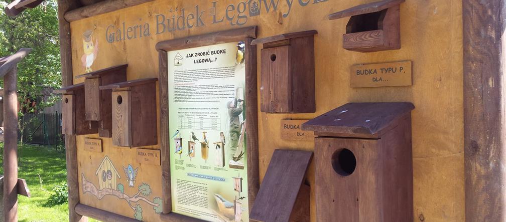 Galeria Budek Lęgowych w Powsinie