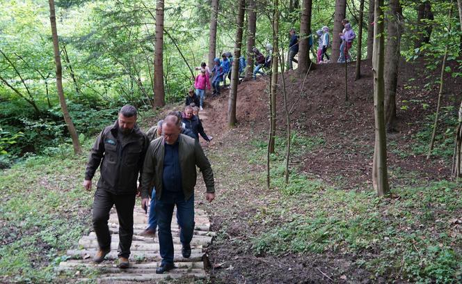 Nowa atrakcja w Małopolsce. Audioprzewodnik leśny turystycznym hitem!