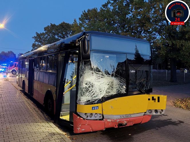 Paderwskiego Magenta