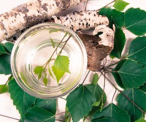 Woda brzozowa na włosy i skórę. Poznaj przepisy na domowe kosmetyki