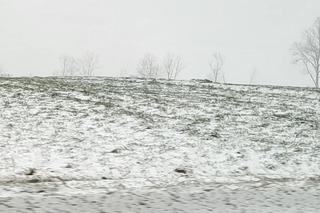 Zima wróciła na Sądecczyznę 