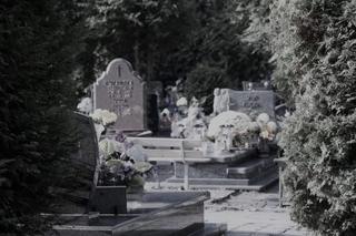 Jastrzębie-Zdrój: ktoś zdewastował nagrobki na cmentarzu, policja szuka sprawców