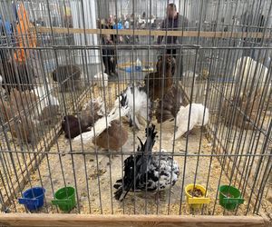 ZooPark w Lublinie. Dzień drugi
