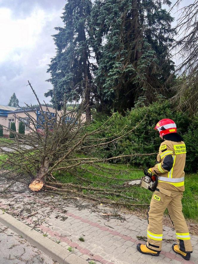 Burze i nawałnice nad Podkarpaciem. Strażacy interweniowali prawie 500 razy [ZDJĘCIA]