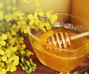 Czy miód rzepakowy jest szkodliwy? Fakty i mity