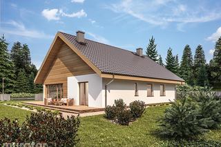 C333u Miarodajny wariant XVIII - wizualizacje, plany, rysunki