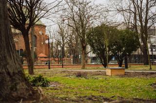 W Krakowie powstało… osiedle dla jeży! Będą towarzyszyć studentom