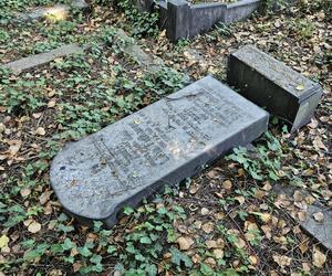 Wandale zdewastowali kilkanaście nagrobków na Cmentarzu Żydowskim w Katowicach
