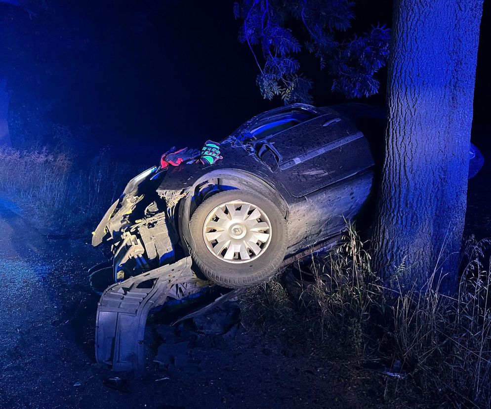 ​Samochód osobowy uderzył w drzewo. Groźny nocny wypadek w Lesznie
