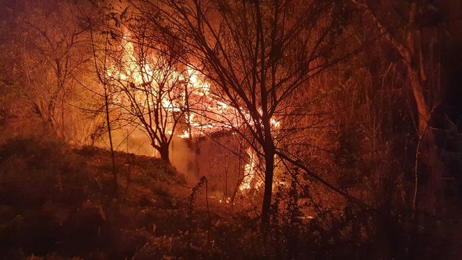 Lublin. Tragiczny pożar pustostanu. Trzy osoby nie żyją [ZDJĘCIA].