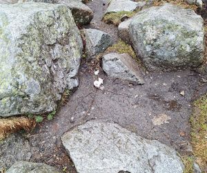 Morskie Oko zaśmiecone jak nigdy. To sprawka turystów. TPN opublikował zdjęcia.