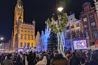Gdańska choinka rozbłysła. Zobaczcie nasze zdjęcia!