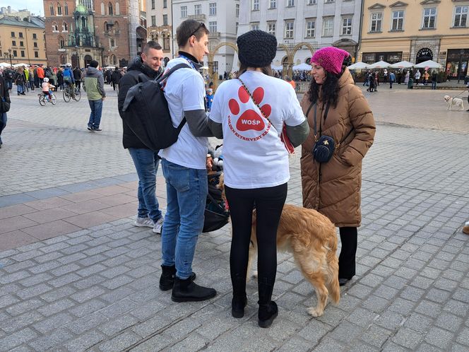 33. Finał WOŚP z grupą krakowskich Golden Retrieverów