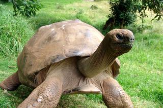 Nie róbcie ze mnie geja