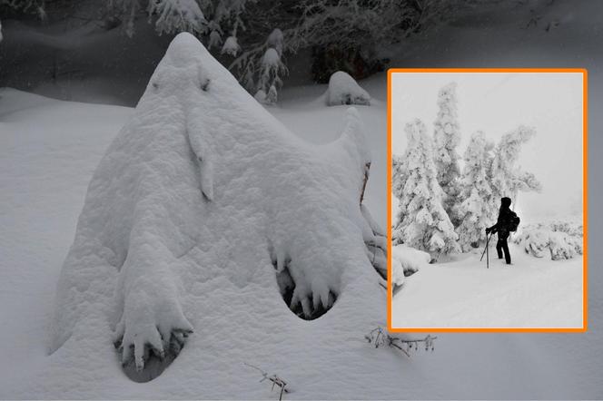 Dziwne stwory w górach. Śnieżne duchy i potwory straszą turystów