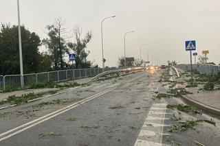 Potężna nawałnica przeszła przez woj. lubelskie. Straty są ogromne, jedna osoba jest ranna [ZDJĘCIA]