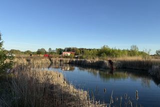 Nietrzeźwy utopił terenówkę w stawie. Potem zaczął pływać i śpiewać