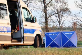 Drogowy koszmar na S10 w Toruniu. Dwie osoby nie żyją
