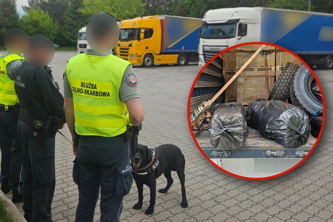 Gigantyczny przemyt kokainy