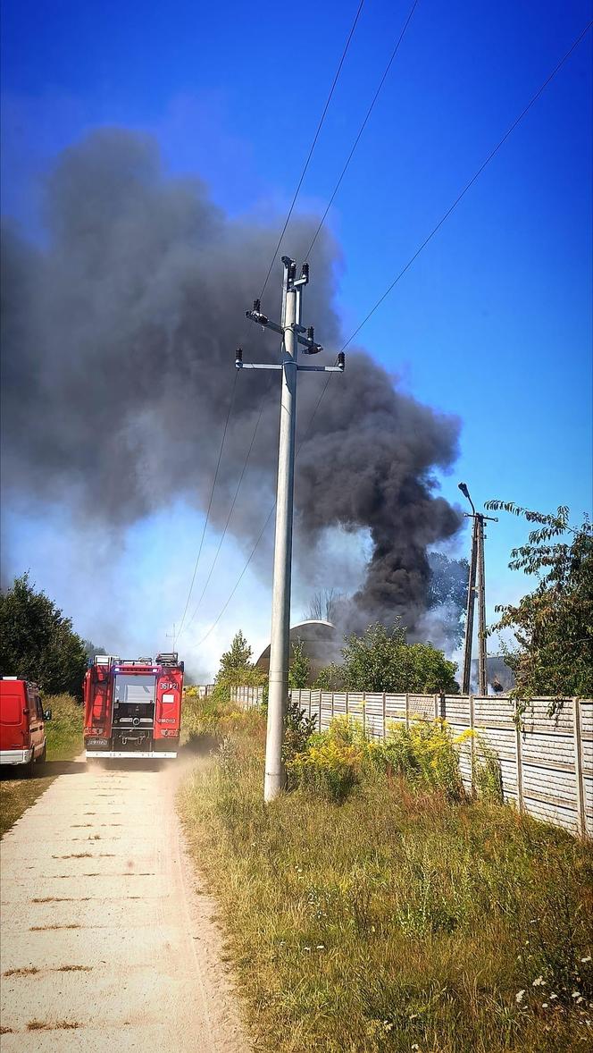 Pożar pod Krosnem Odrzańskim w Lubuskiem