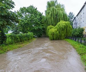 Alarm po opadach deszczu! Podnosi się stan wody w rzece. Służby w gotowości