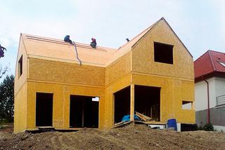 Dom prefabrykowany z płyt drewnopochodnych: ekspresowa budowa domu