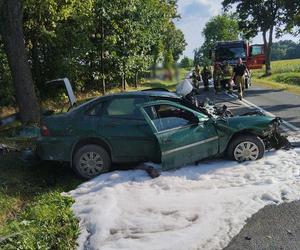 Wariacki rajd kompletnie pijanego kierowcy w Kujawsko-Pomroskiem