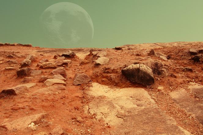 Na Marsie wyrośnie las? To możliwe dzięki naukowcom z Olsztyna