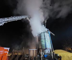 Lubelskie: Nocny pożar kukurydzy. 20 ton ziaren stanęło w ogniu!