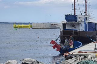 Kaszuby i Trójmiasto tłem dla 2. sezonu „Profilerki” – ruszyły zdjęcia